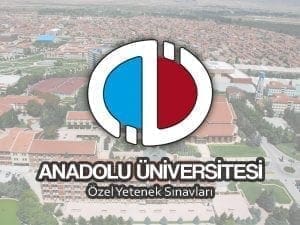 özel yetenek sınavlarında çıkmış imgesel soruları, Özel Yetenek Sınavı Soruları